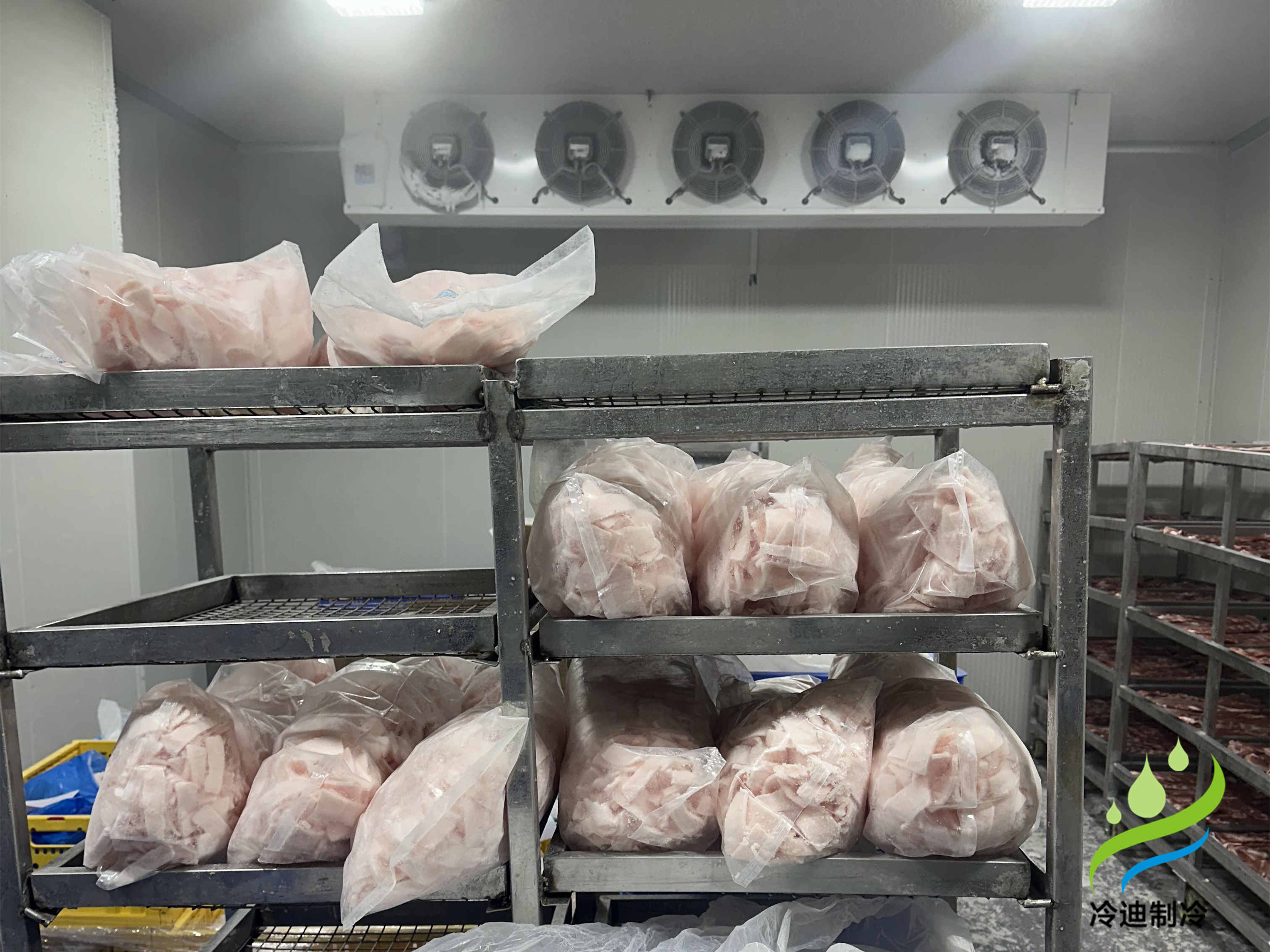 建造一座30噸冷庫造價需要多少錢？