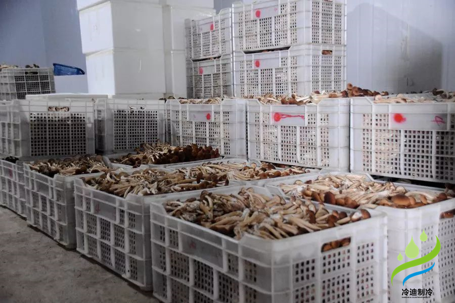 菌菇保鮮冷庫